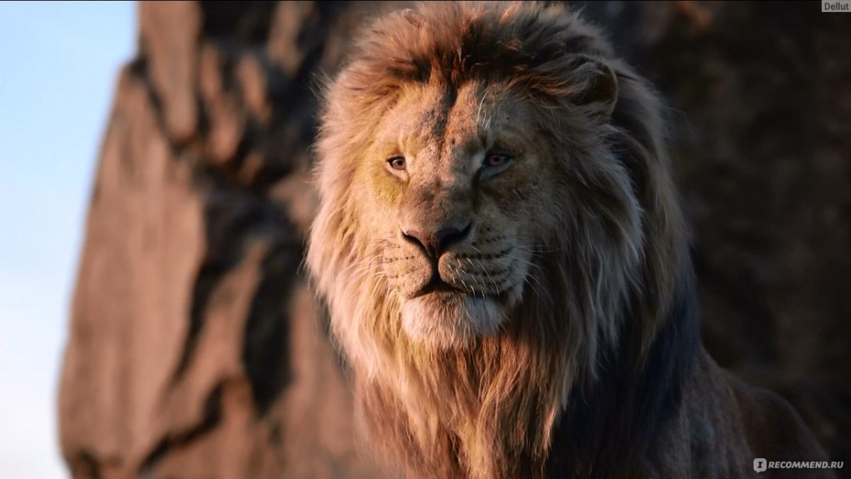 Король Лев 2019 Муфаса
