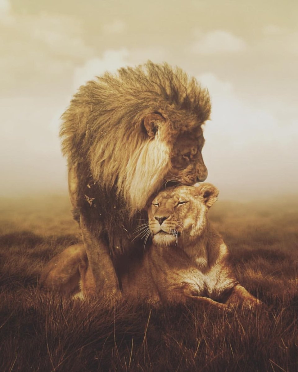 Король Аслан