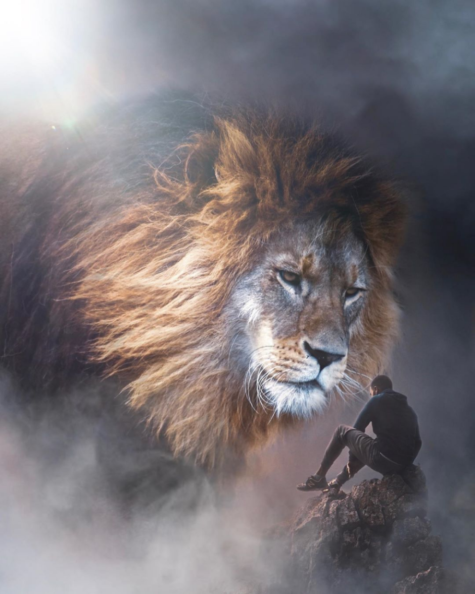 Фото львенка Симбы из фильма Король Лев