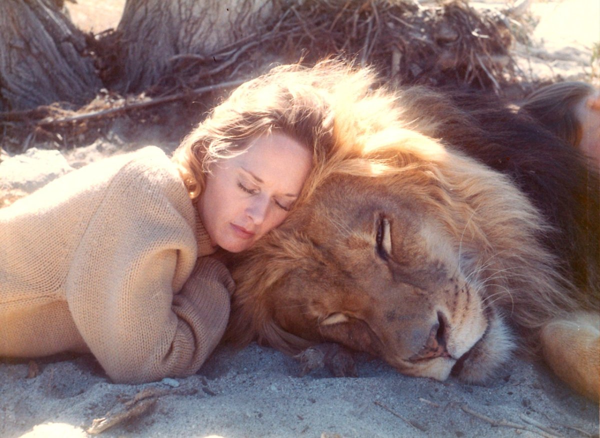 Хроники Нарнии Аслан