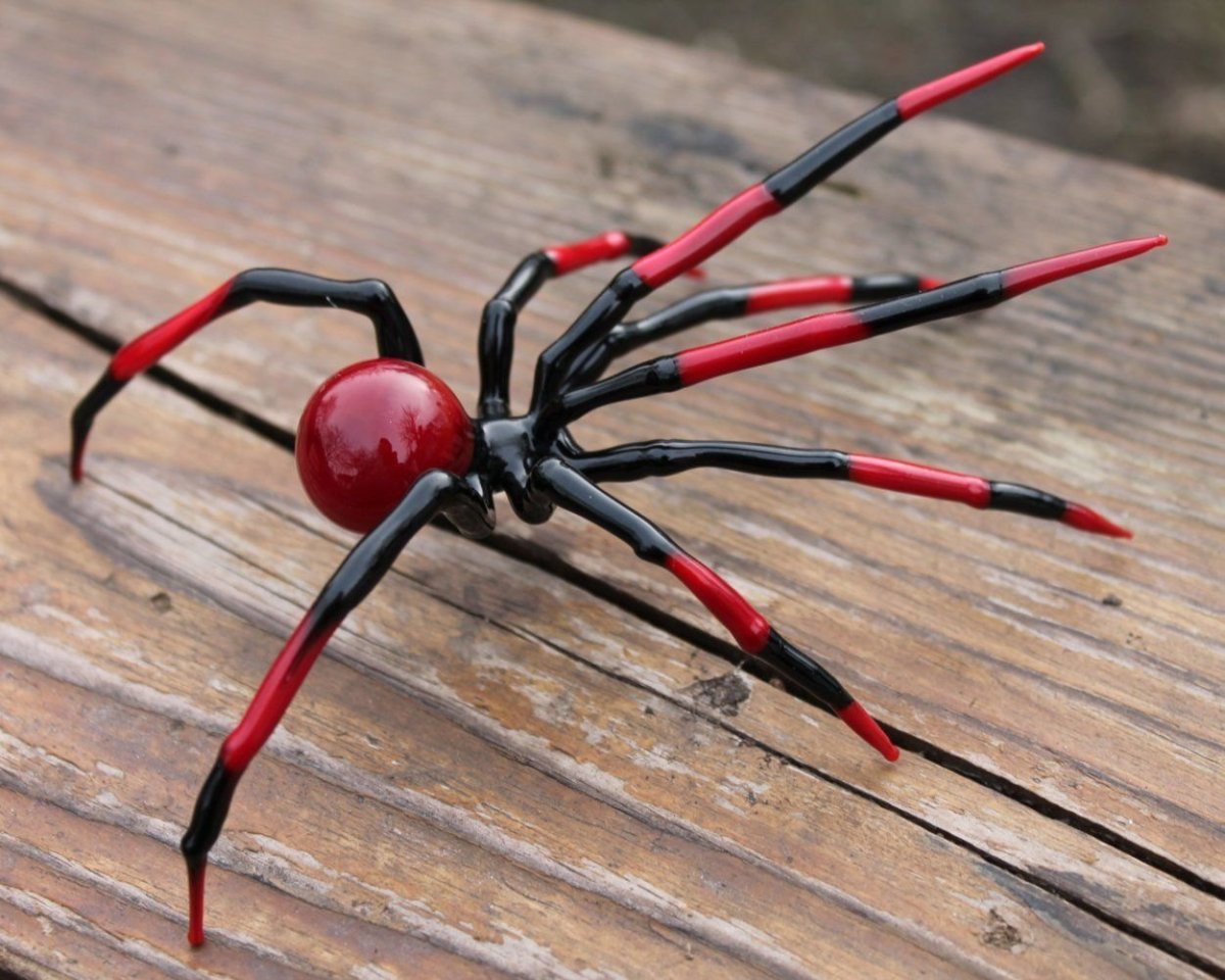 Паук эрезус красный