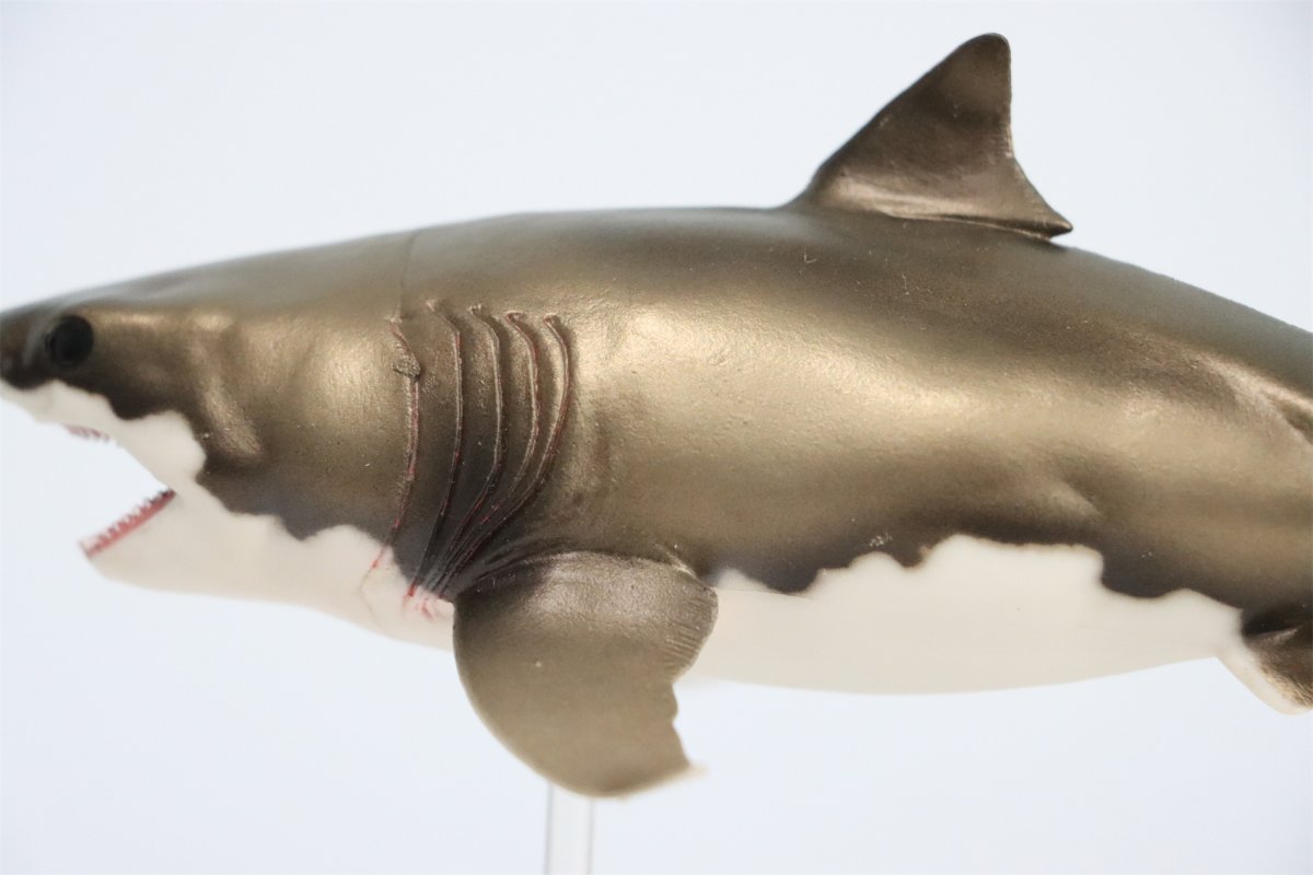 Желтополосая акула