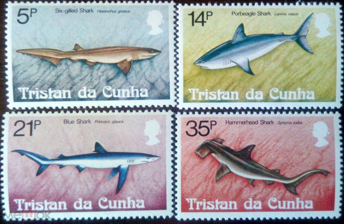 Акула МЕГАЛОДОН