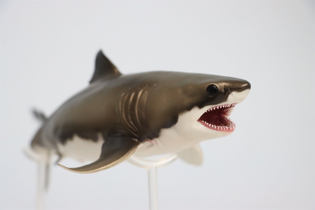 Акулы на марках