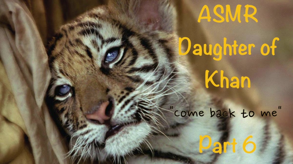 Два брата 2004