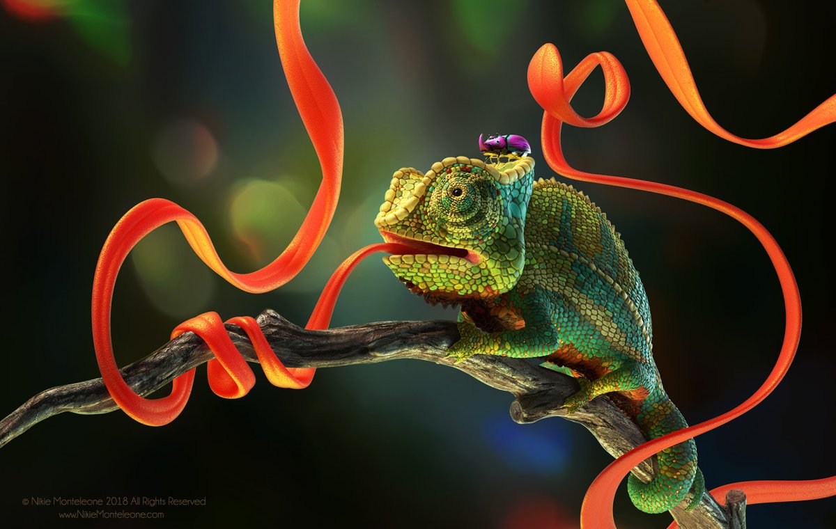 Фиолетовый Сенегальский хамелеон