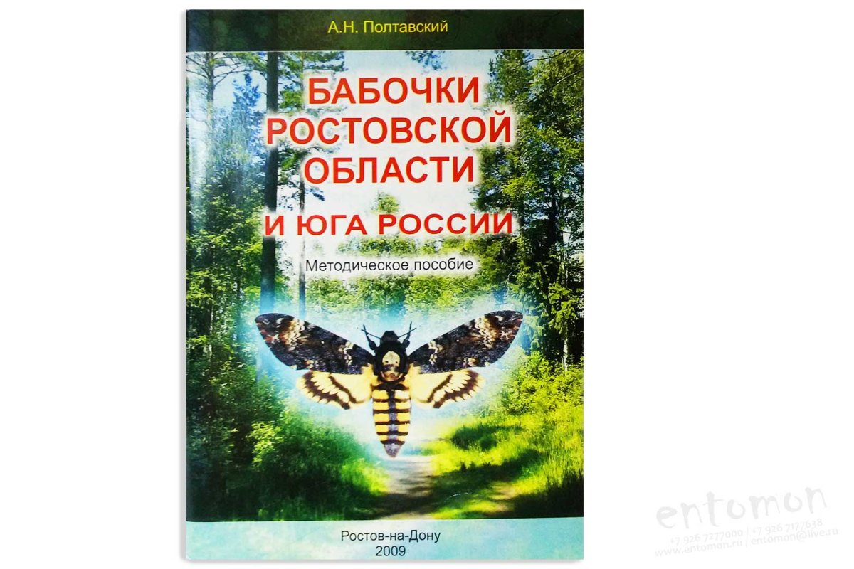 Пяденица черная