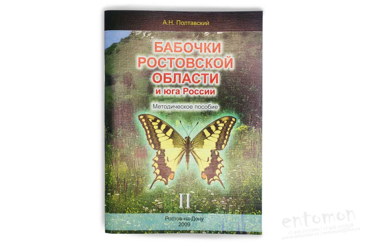 Слова песни танцуют бабочки