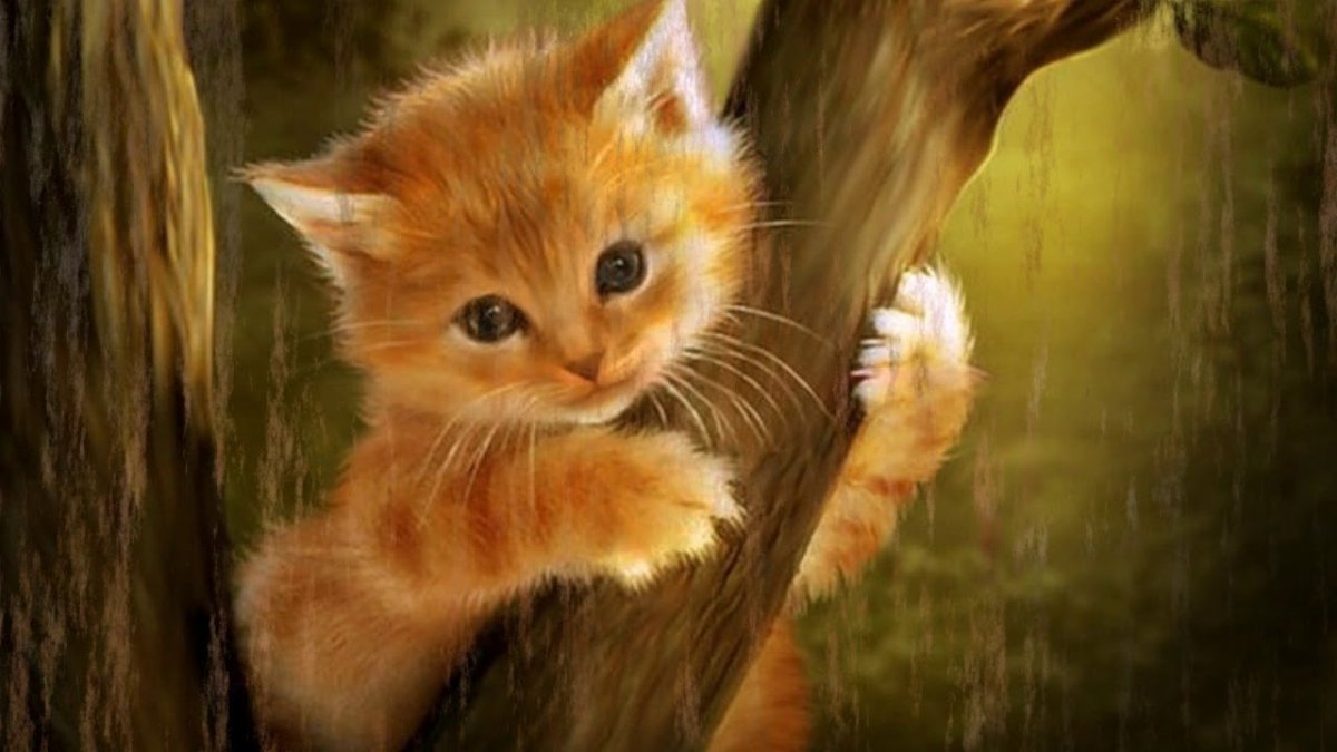 Аниме котенок рыжий