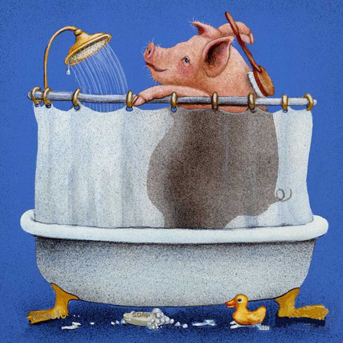 Свинья в ванне