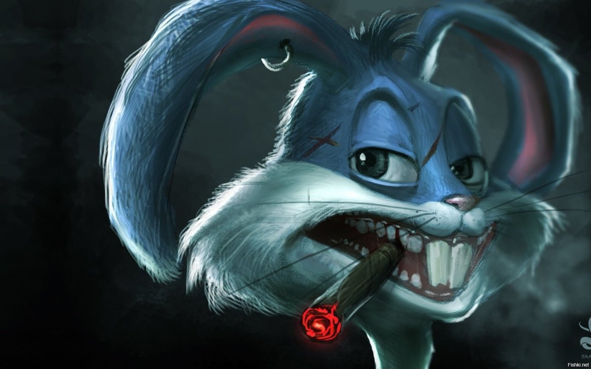 Злой милый котик