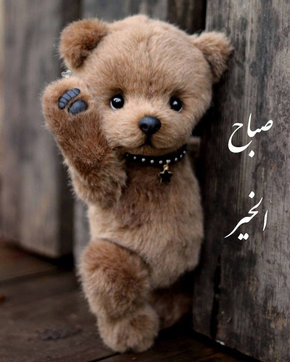 Красивый Медвежонок