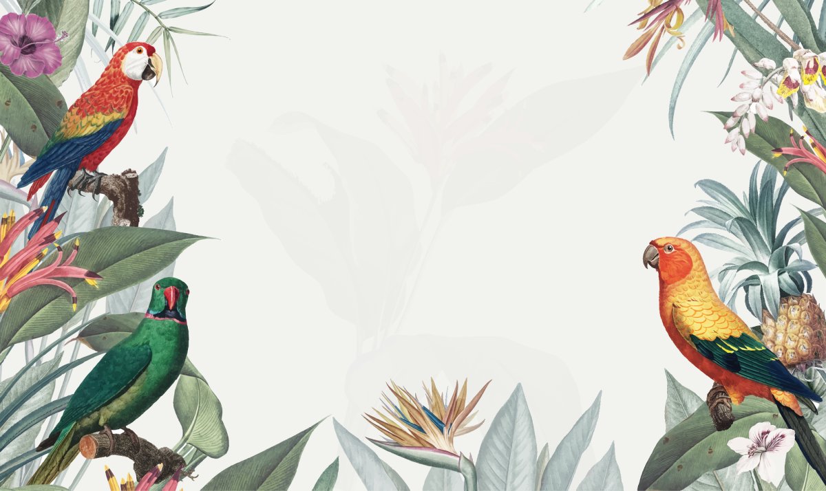 Обои с попугаями для стен