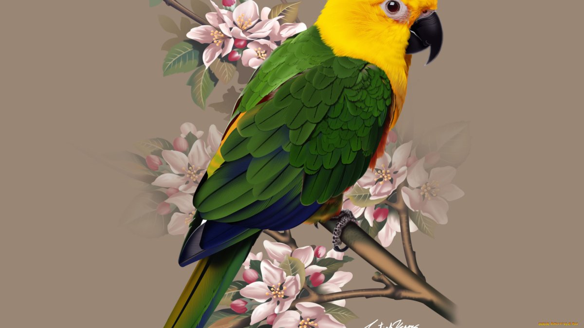 Цветок попугай