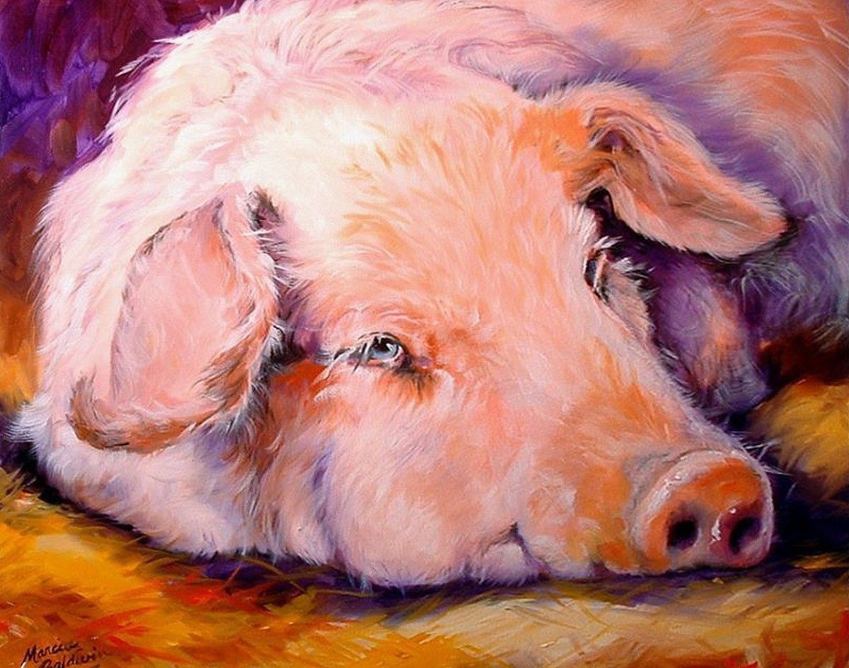 Свиньи в живописи