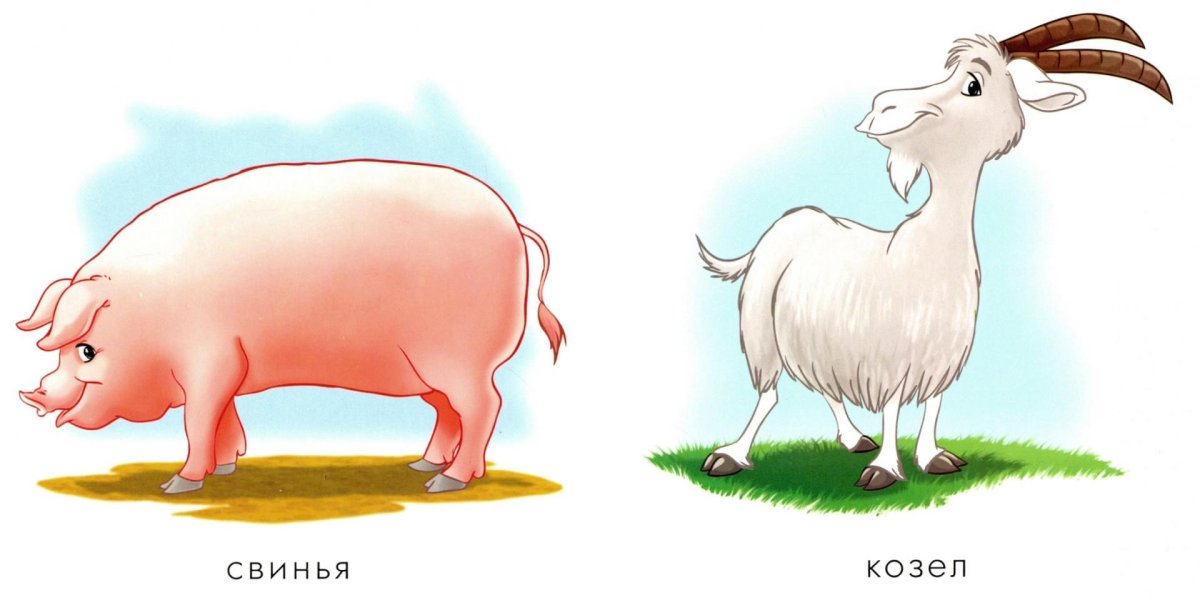 Поросенок и козлик
