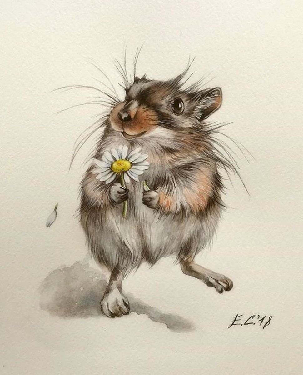 Обезьяны дерутся