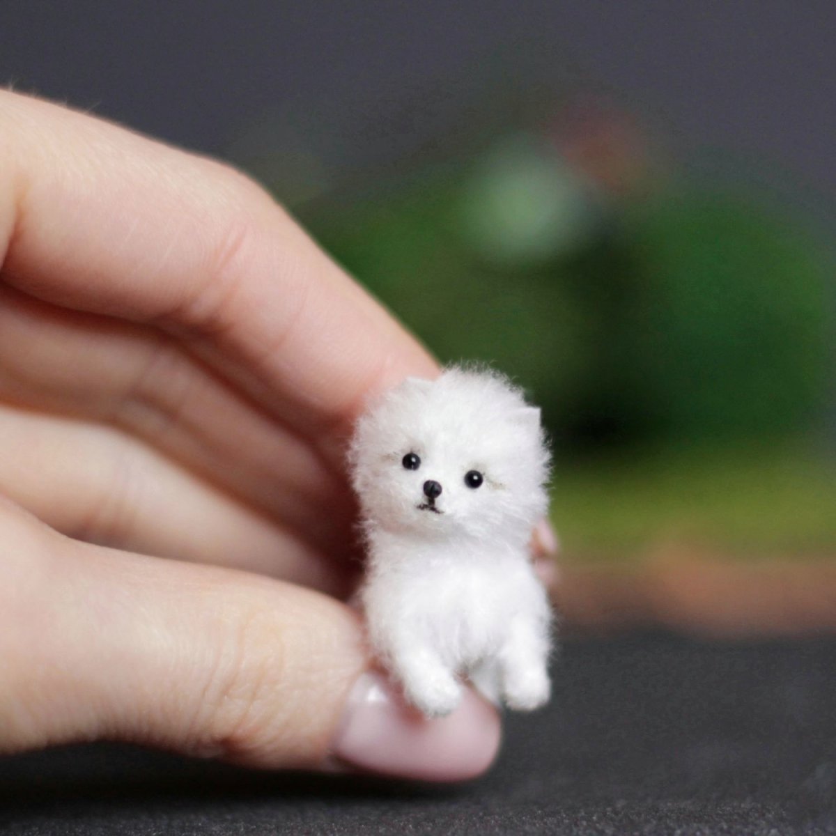 Мини шпиц белый