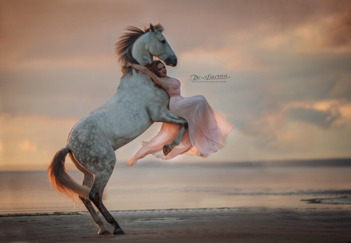 Девушка обнимает лошадь