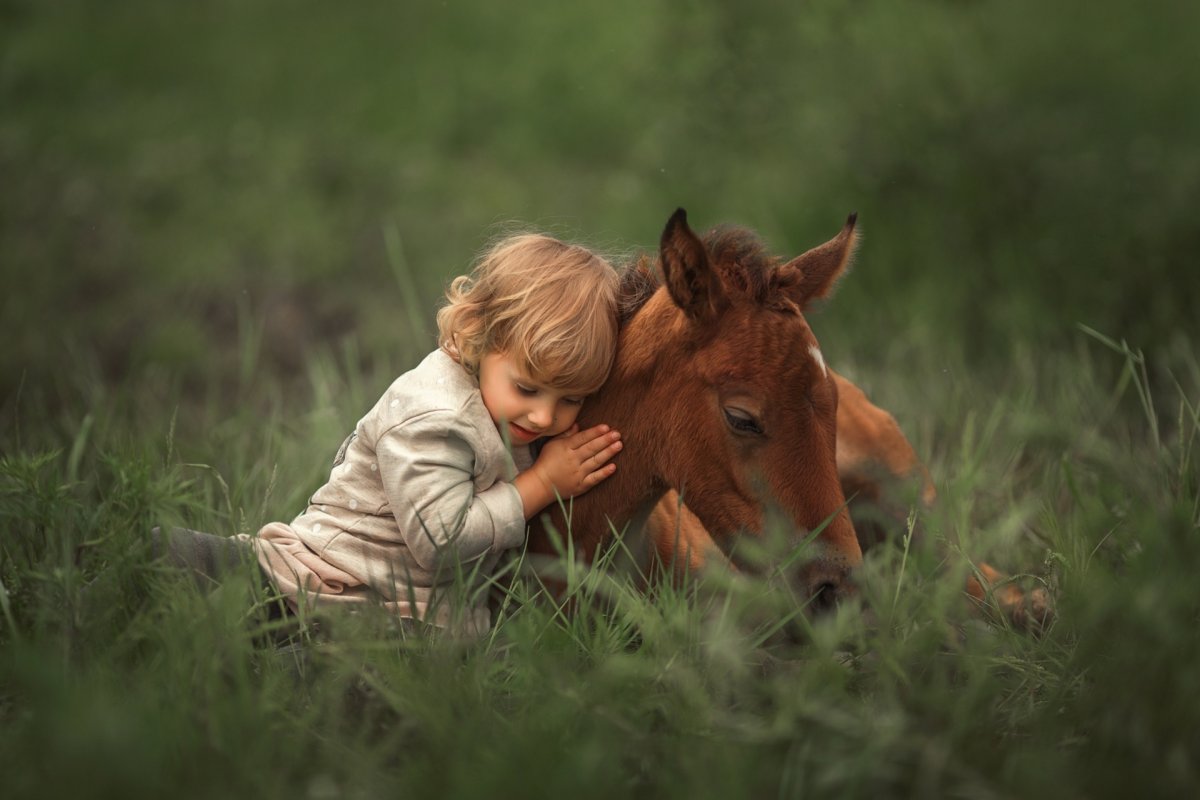 Добрая лошадка