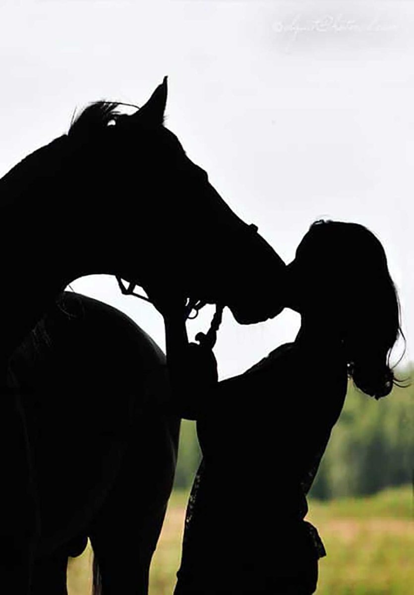 Обиженная лошадь