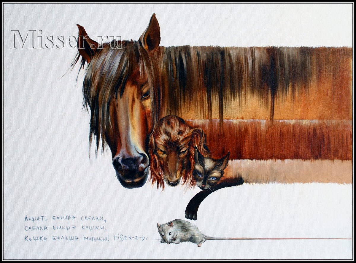 Кот Мэнни в хорошем качестве