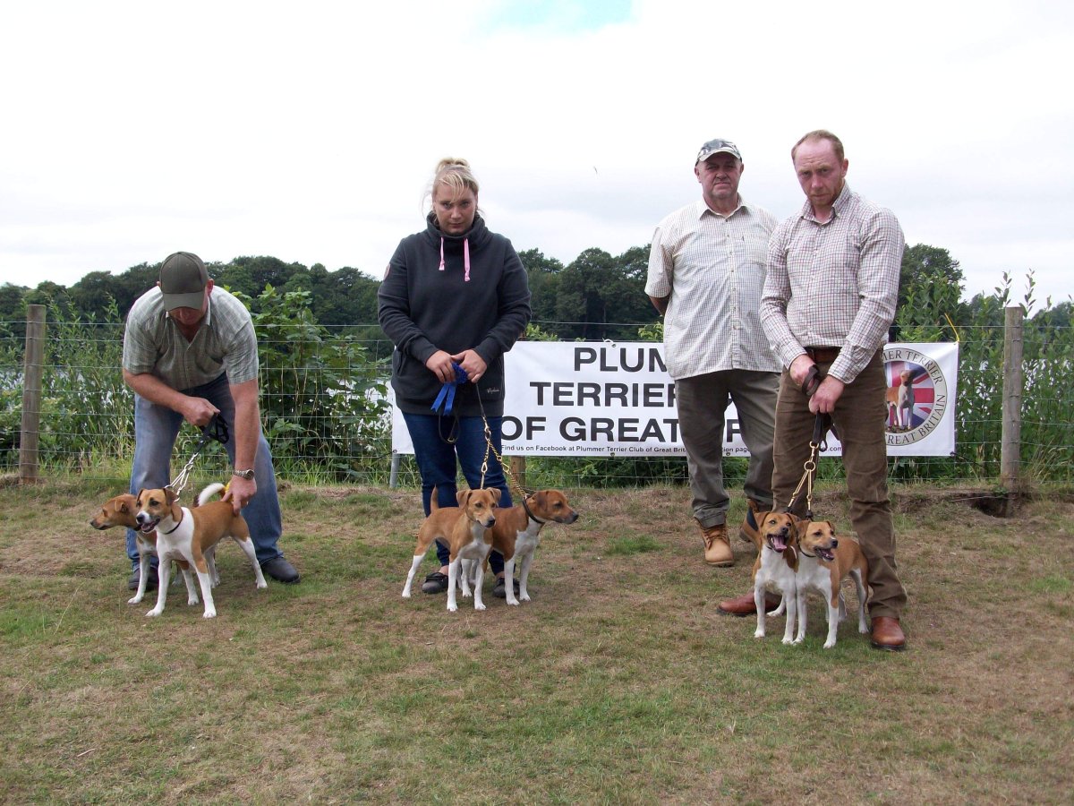 Элли ди петс Джина