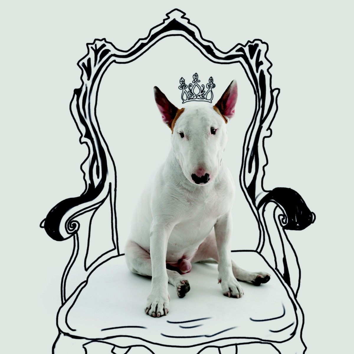 Собака мастихином