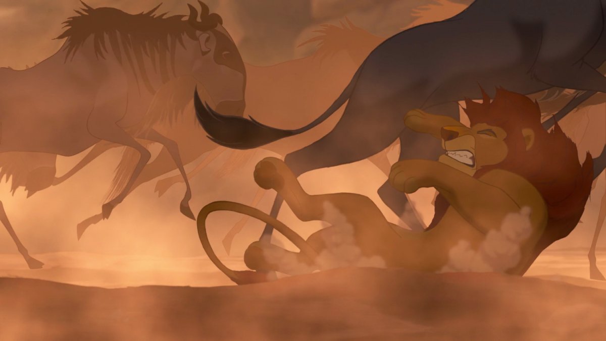 Лев охотится на зебру