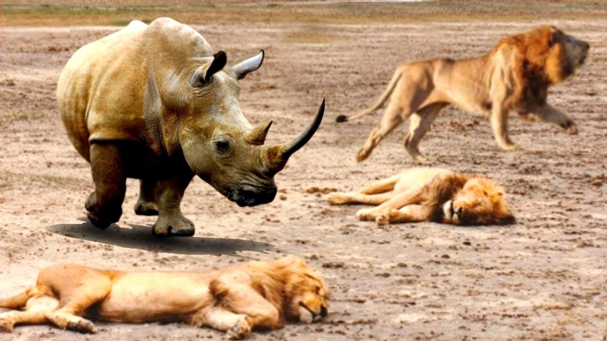 Смешной зверек из мультика