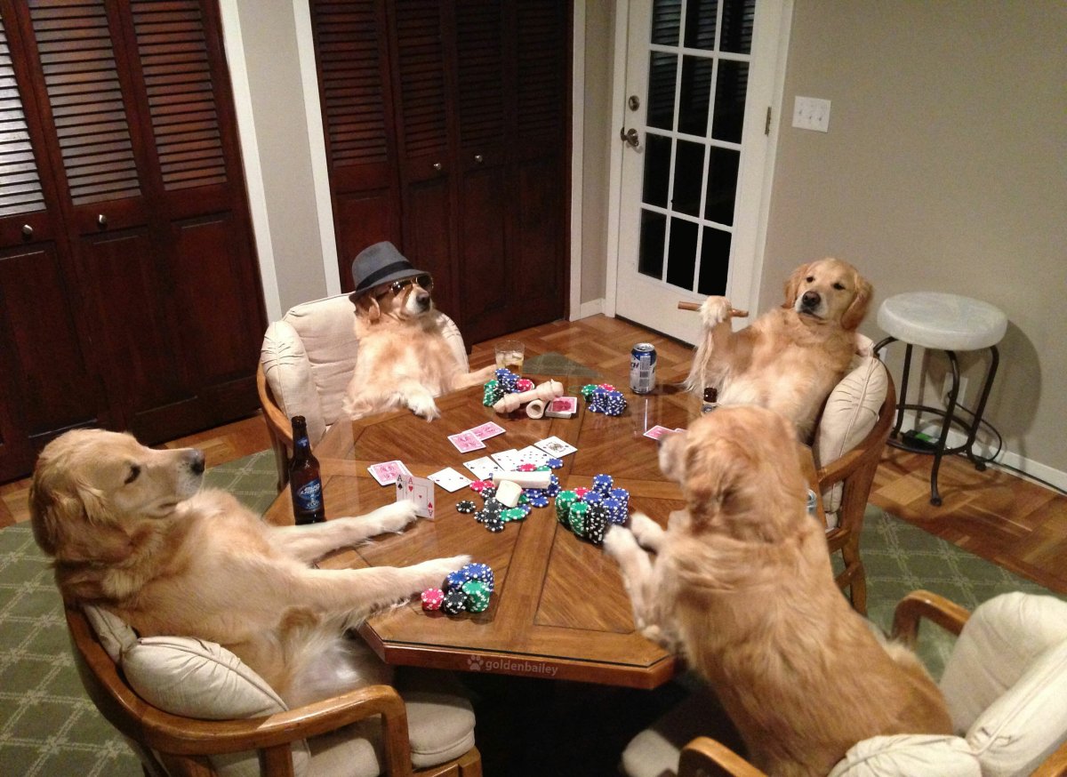 Кот котлета Кристина Макеева