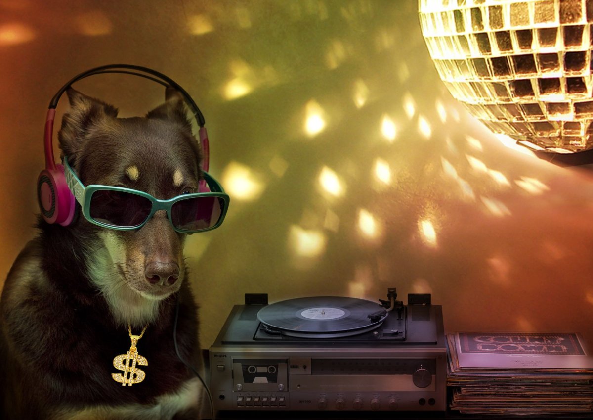 Коты на вечеринке