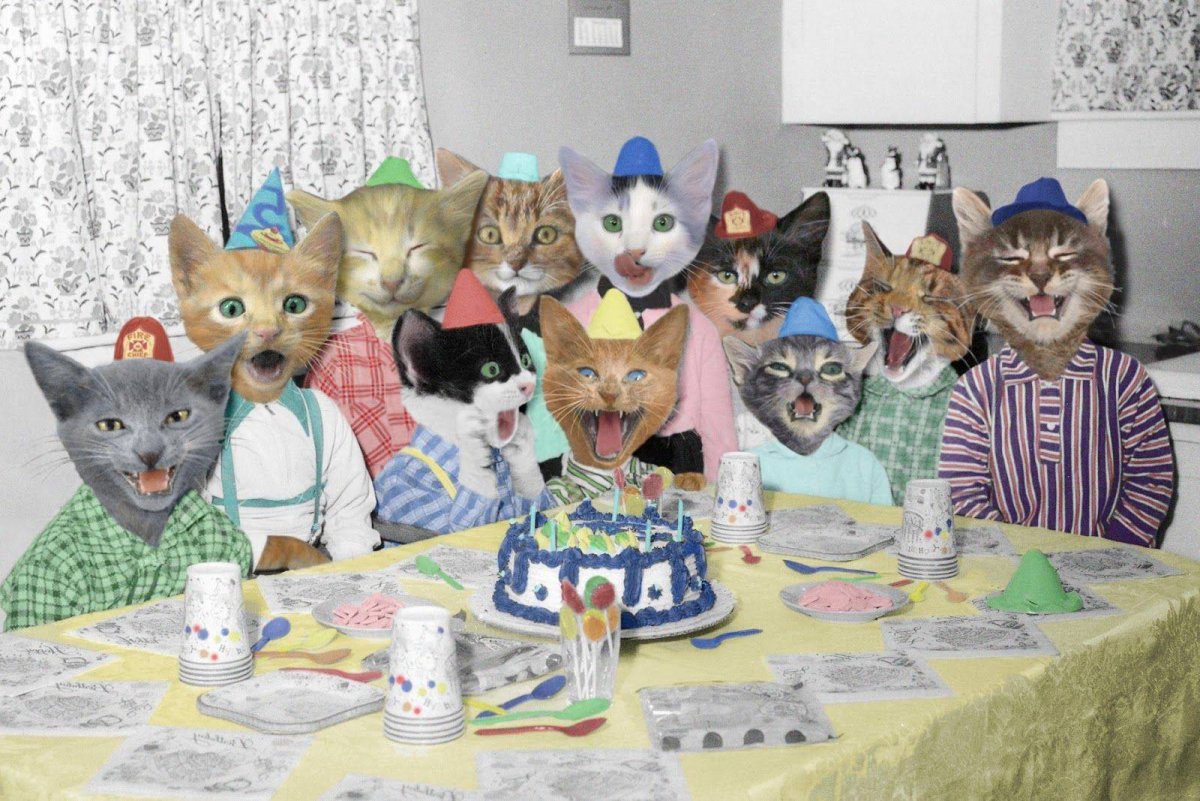 Кошка в диско очках