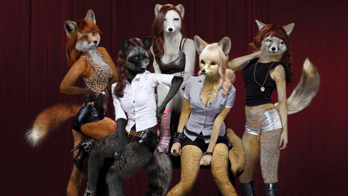 Мемы с нарисованными котами