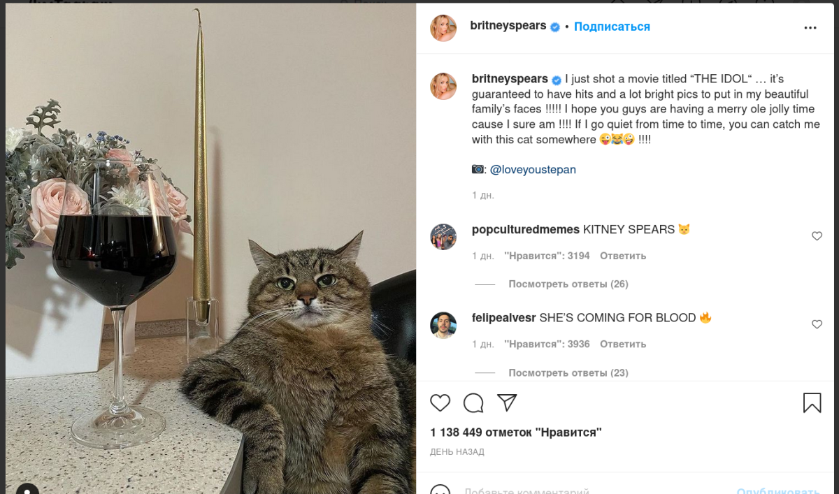 Коты на вечеринке