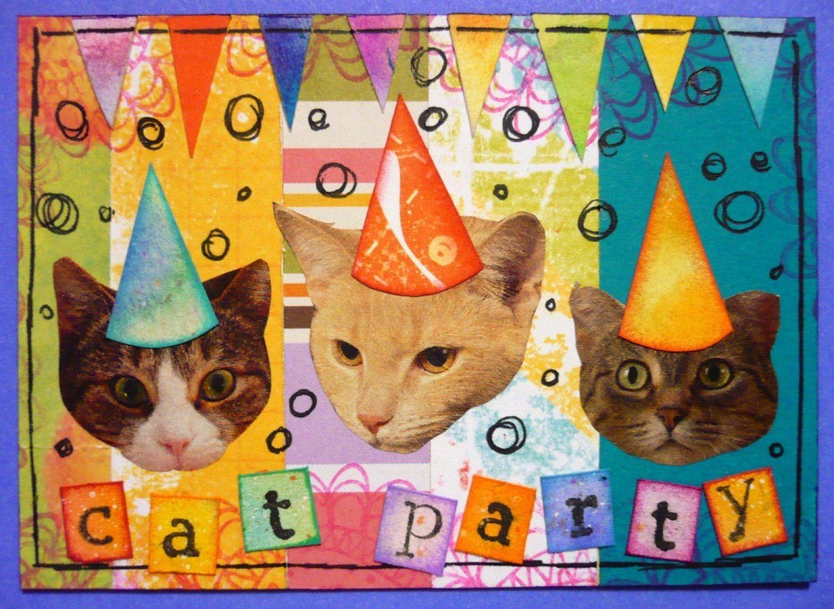 Кошачья вечеринка