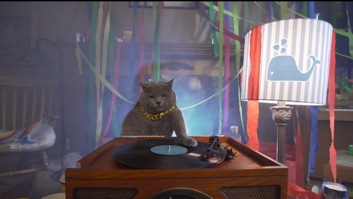 Мягкие антропоморфные животные