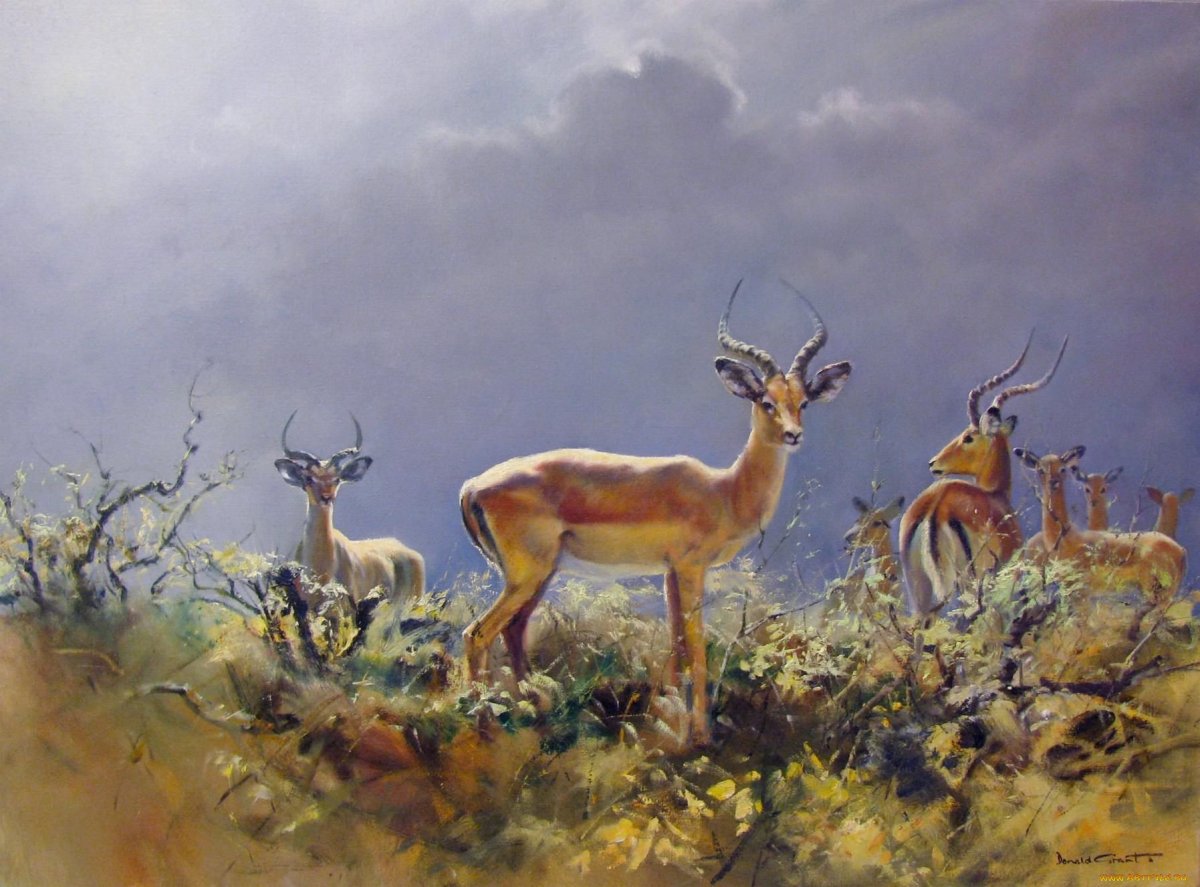 Болотный Прайд Львов