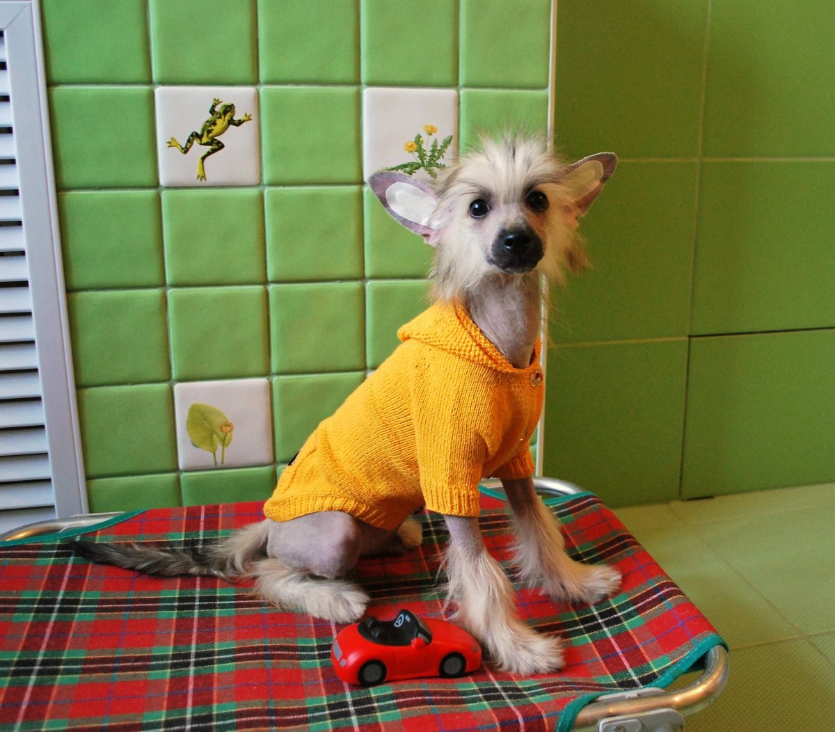 Породы собак нарисовать