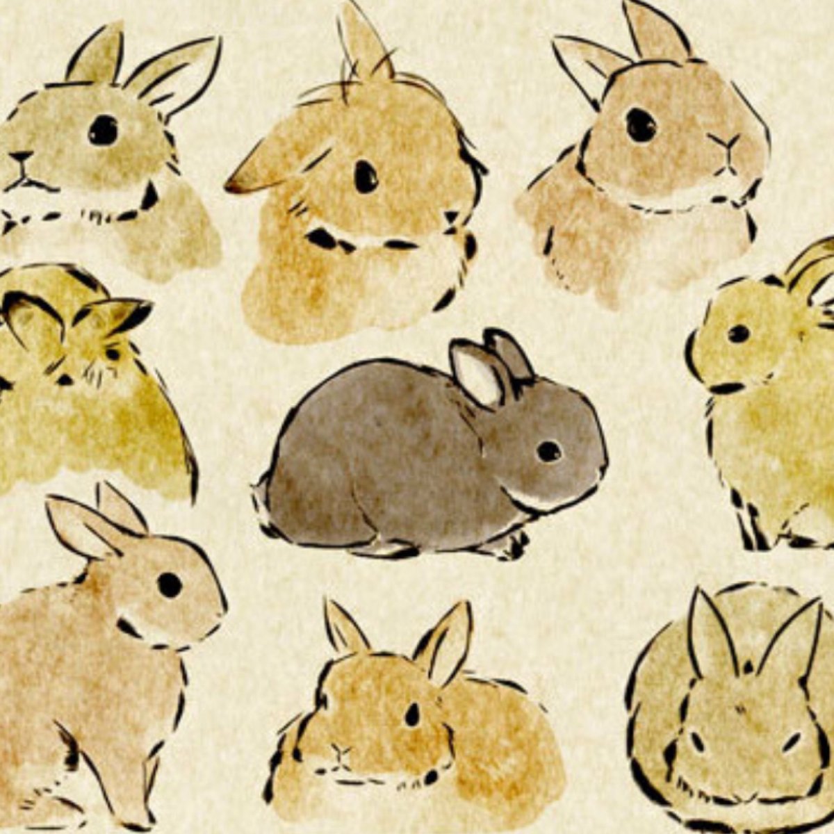 Кролик референсы