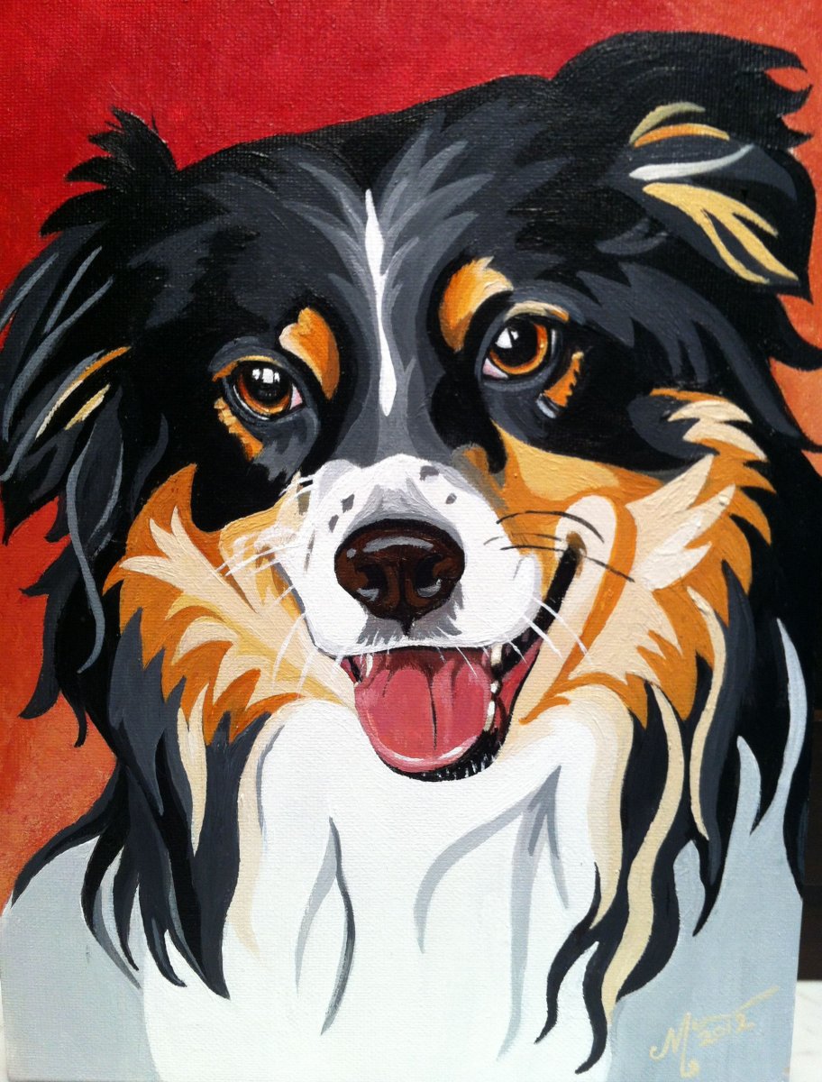 Австралийская овчарка арты