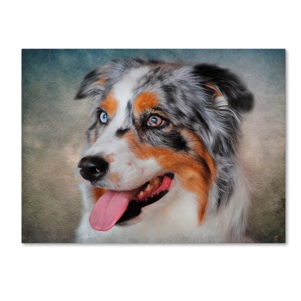 Аусси портрет