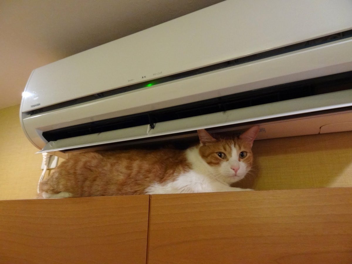 Смешной кондиционер