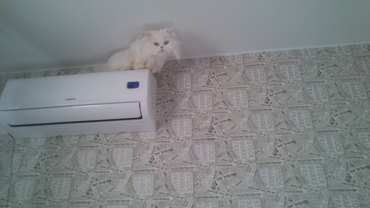 Сплит система коты