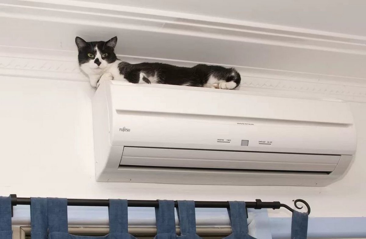 Смешной кондиционер