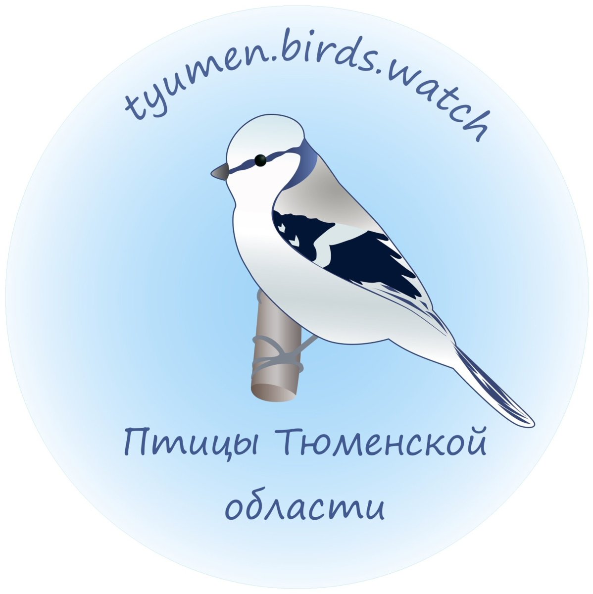 Самые красивые голуби