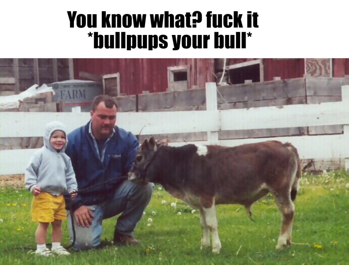 Кудрявый теленок