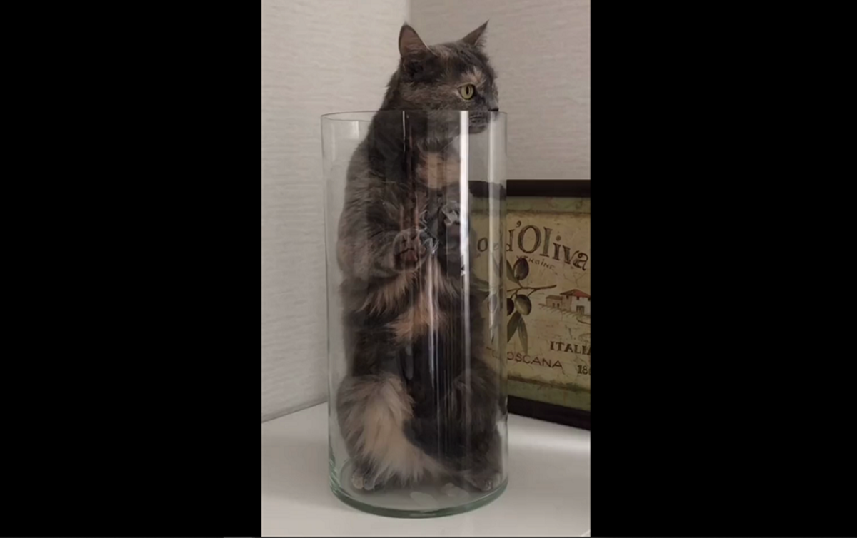 Ваза кот большой рот