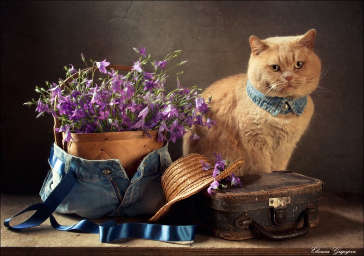 Фотохудожник Элеонора Григорьева