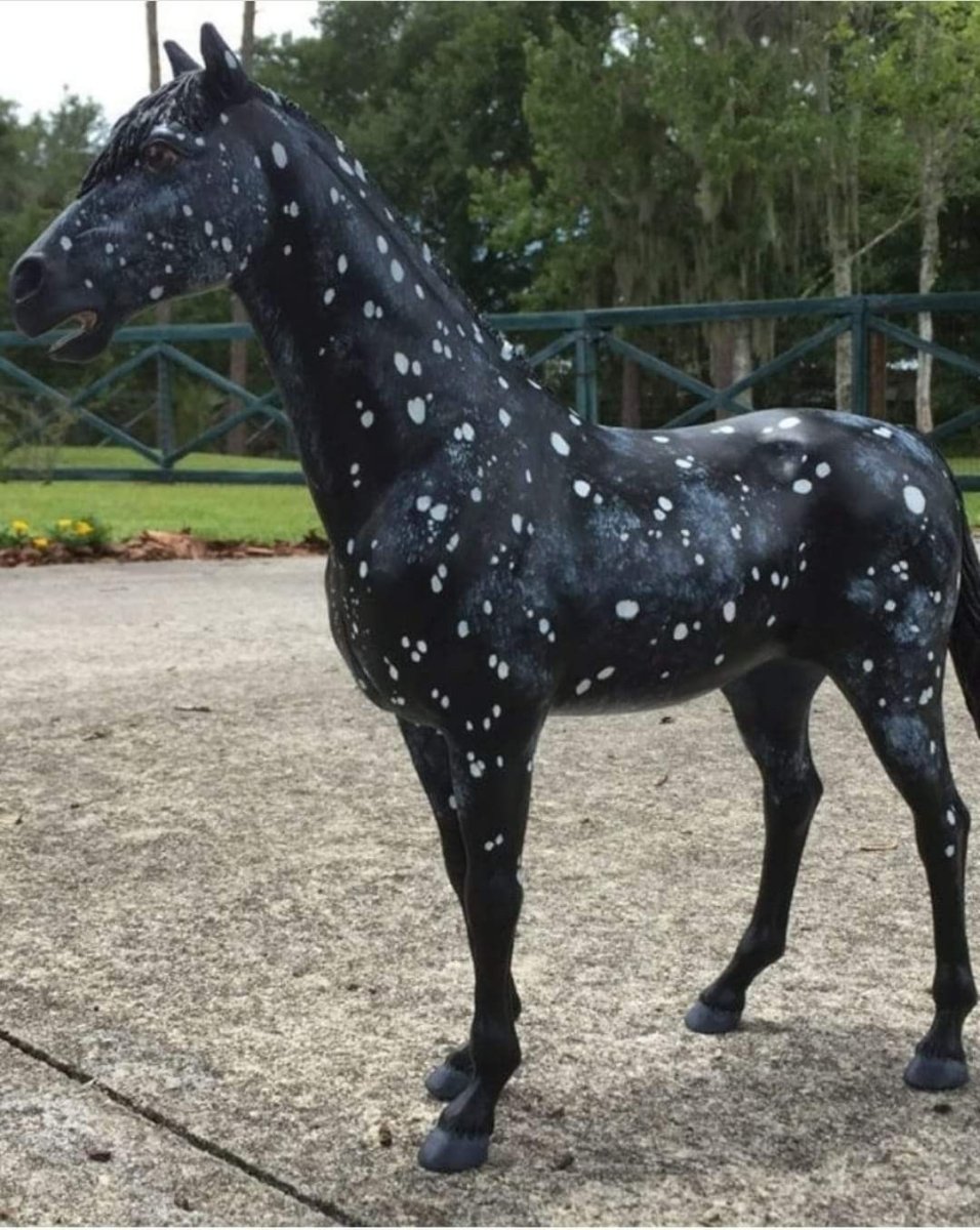 Аппалуза чубарая порода лошади